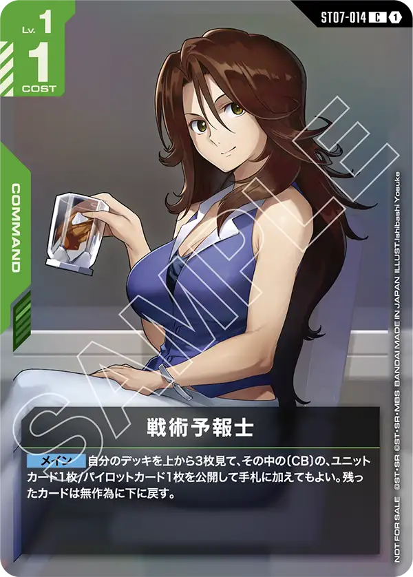 戦術予報士（パラレル版）